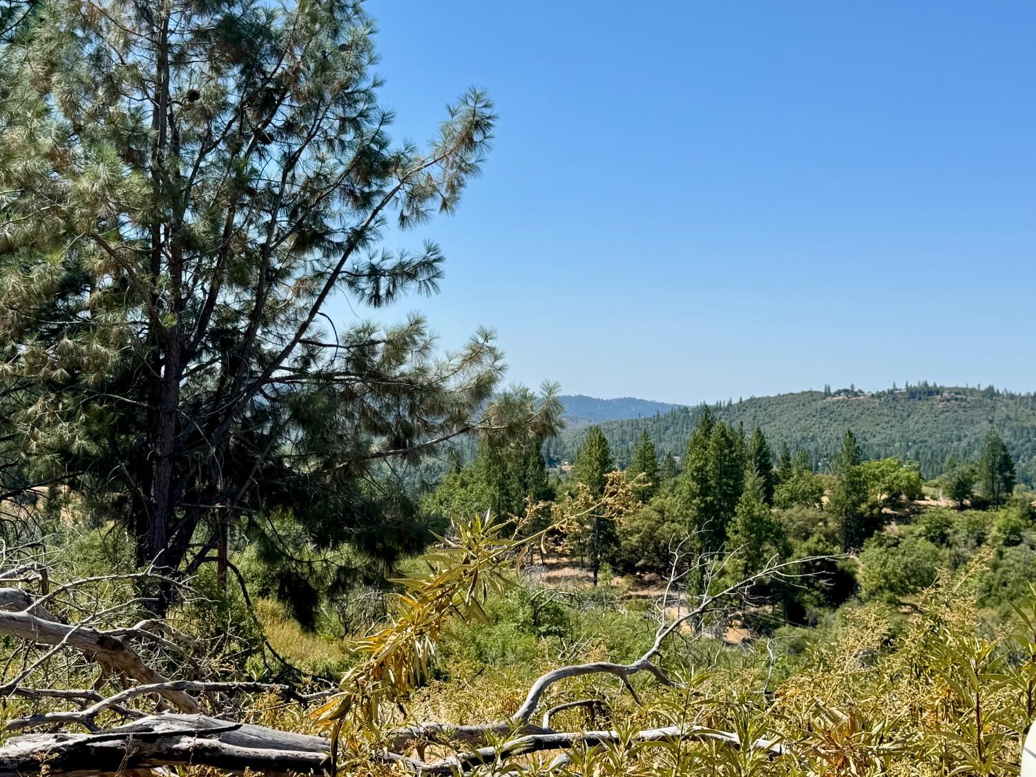Property Photo: 9055 Rodesino Road CA 95246