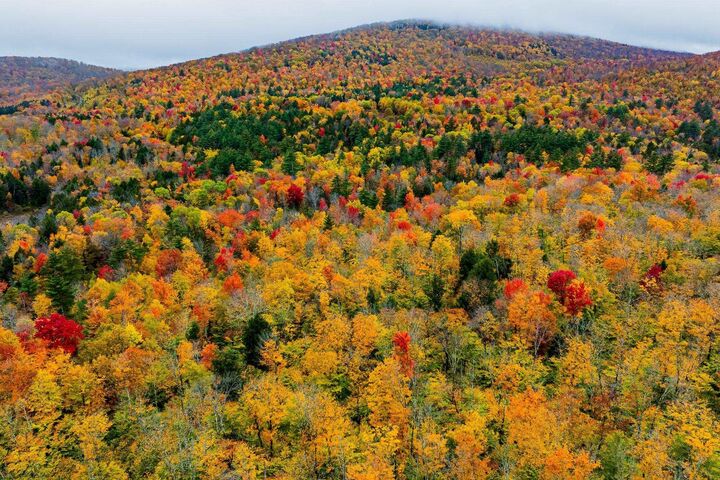 Property Photo:  Lot 65 Piermont Heights Road  NH 03777 