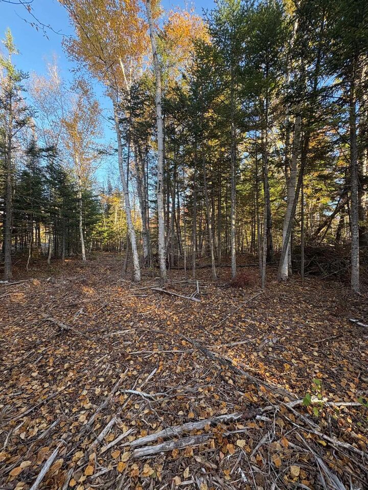 Property Photo:  Lot 3-25 Blue Sea Road  NS B0K 1E0 