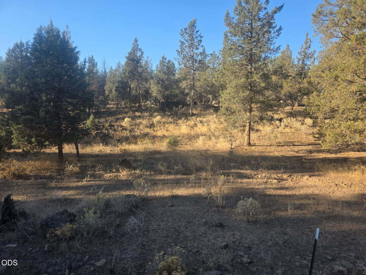 Property Photo:  0 Fisher Street 3  OR 97623 