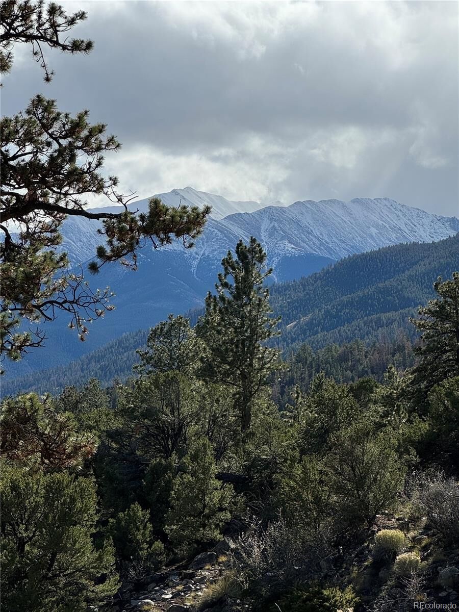 Property Photo: Trails End CO 81211