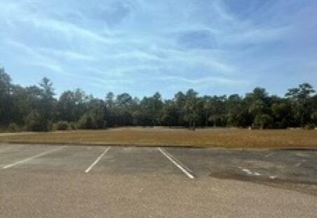 Property Photo: Lot O Burnt Pine Loop FL 32355