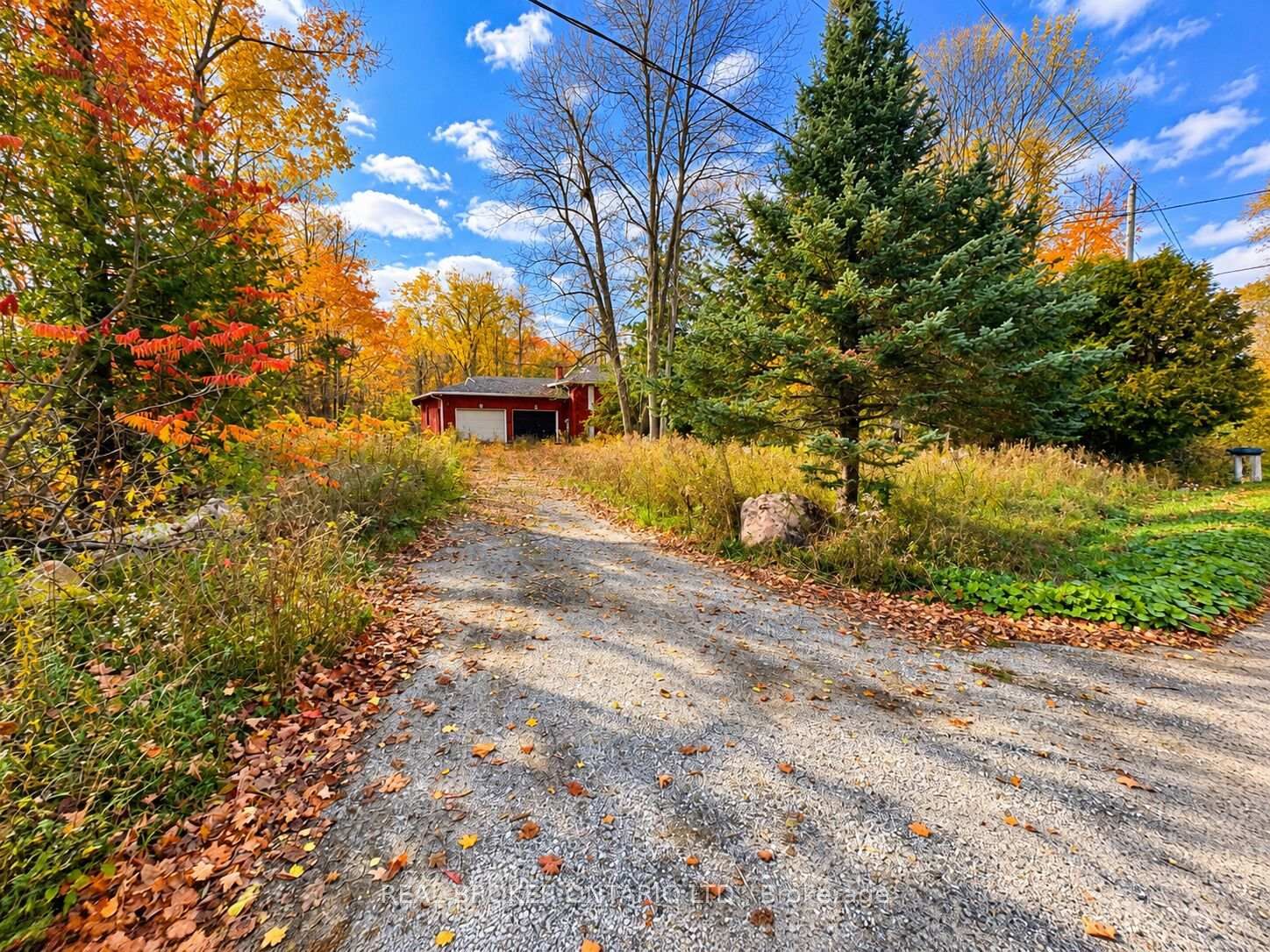 Property Photo:  5670 Willison Side Road  ON L3V 6H6 
