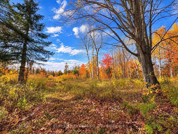 Property Photo:  5658 Willison Side Road  ON L3V 6H6 