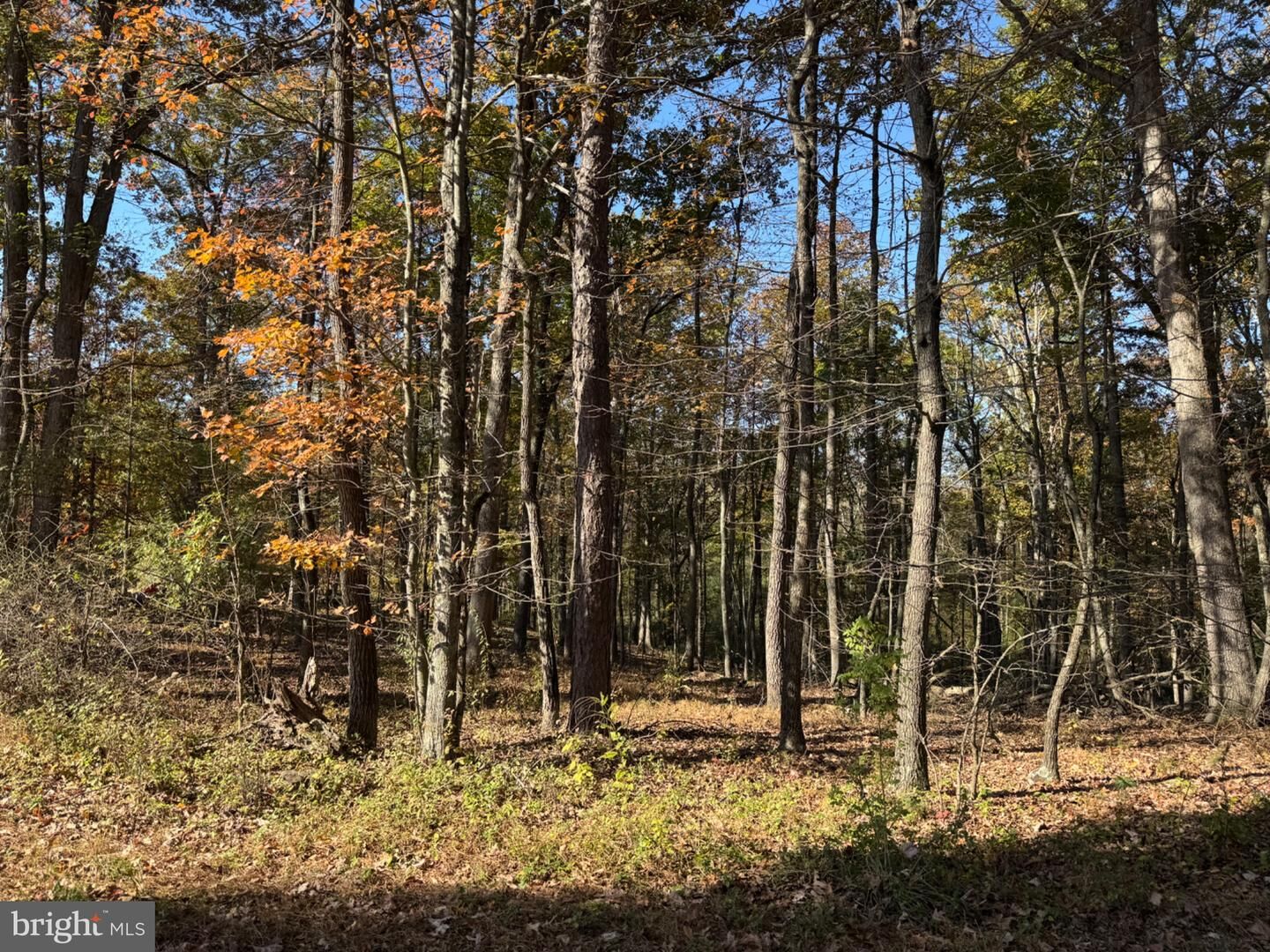 Property Photo: Blossom Road WV 26757