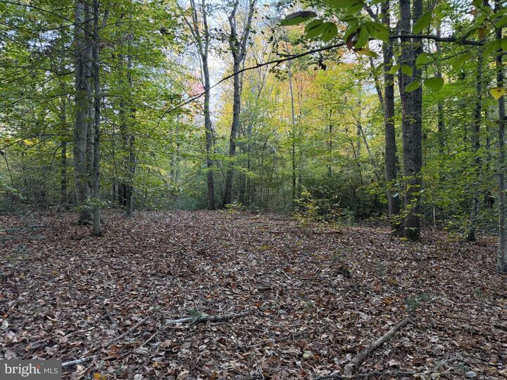 Property Photo:  0 Watson Road  VA 22433 