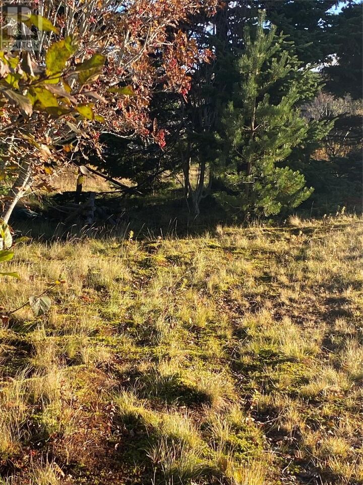 Property Photo:  27 Old Bay Bulls Road  NL A1G 1C5 