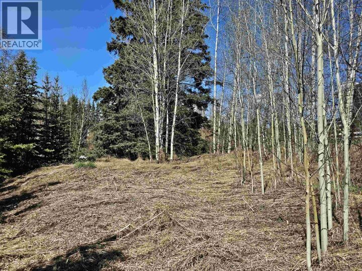 Property Photo:  101 5th Avenue  BC V0J 1E2 