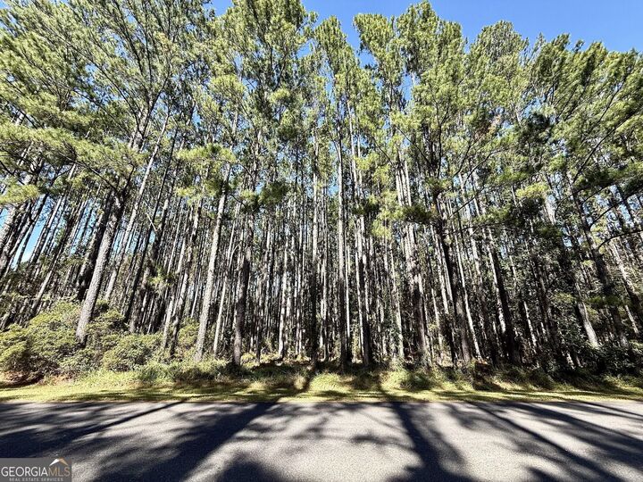Property Photo:  0 La Vento Lane  GA 31565 