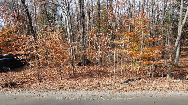 Property Photo:  65 North Sandy Plains Road  ON P2A 2W8 