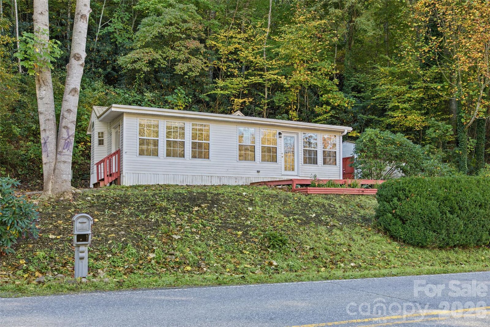 Property Photo: 13858 Cruso Road NC 28716