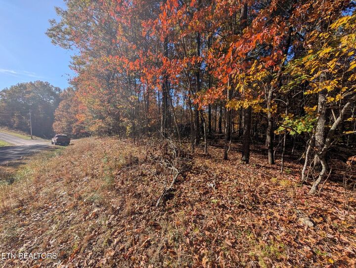 Property Photo:  Belmont Circle - Lot 44  TN 38574 