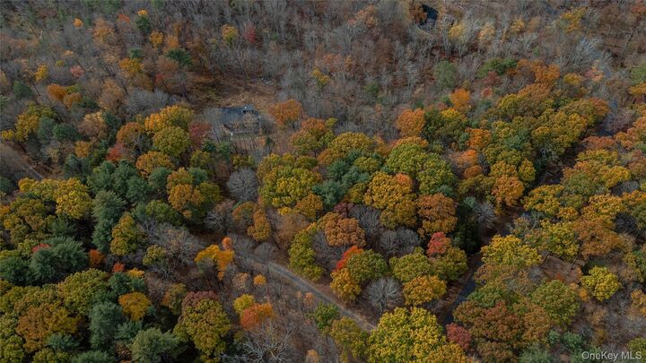 Property Photo:  149 Beaverkill Road  NY 12401 