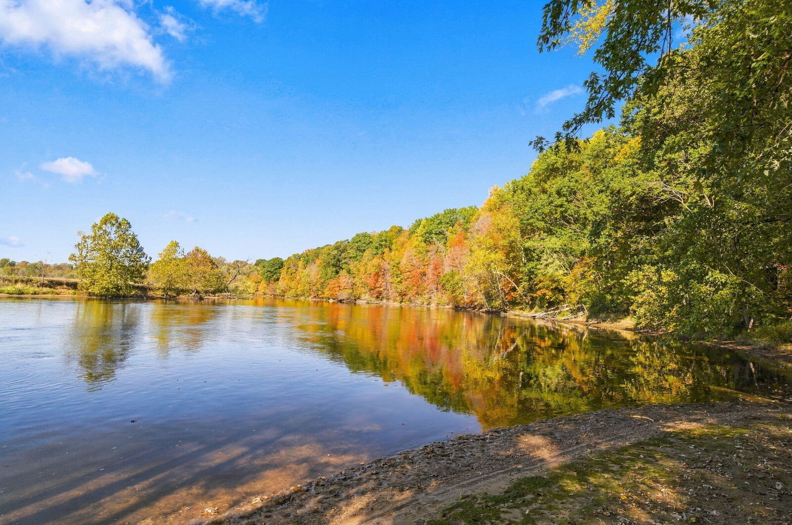 Property Photo:  5275 Love Road  MI 49111 