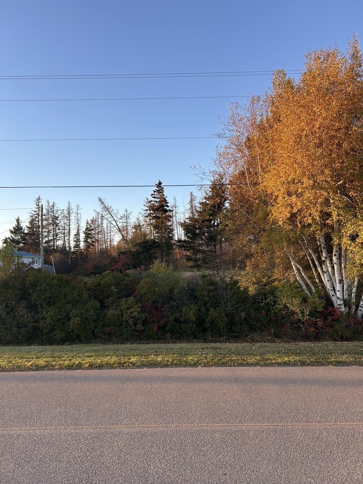 Property Photo: Lot Machon Point Road PE C0A 1V0
