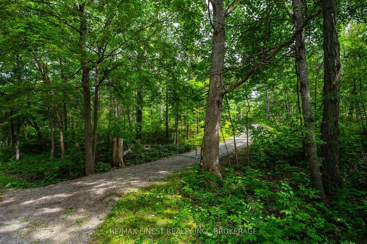 Property Photo:  169 Old River Road  ON K0E 1R0 