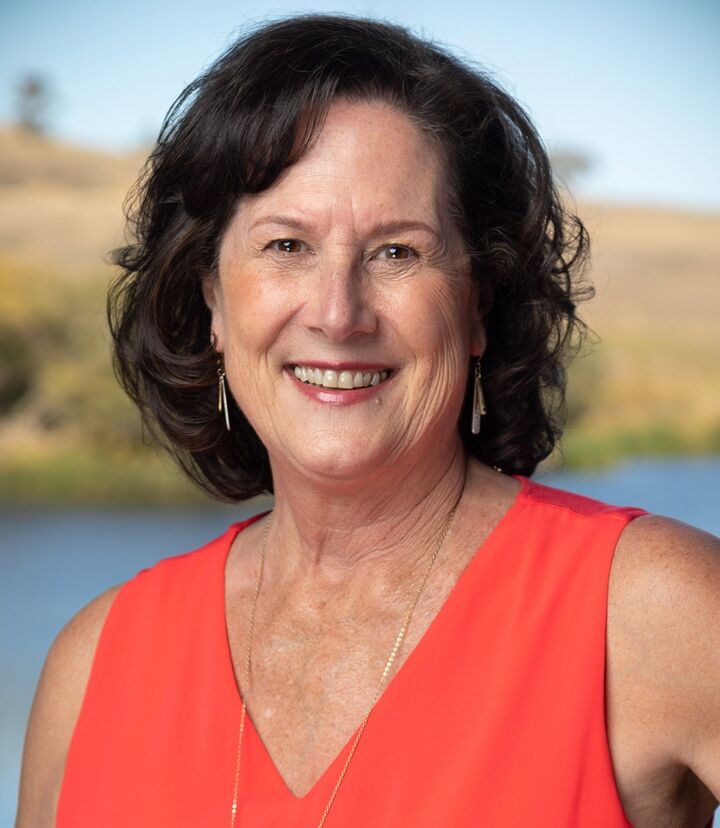 Beth Braby, REALTOR® in Napa, Icon Properties