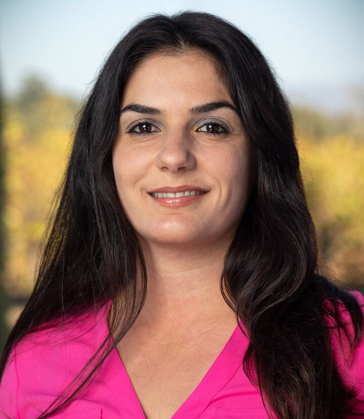 Susan Dechant, REALTOR® in Sebastopol, Icon Properties