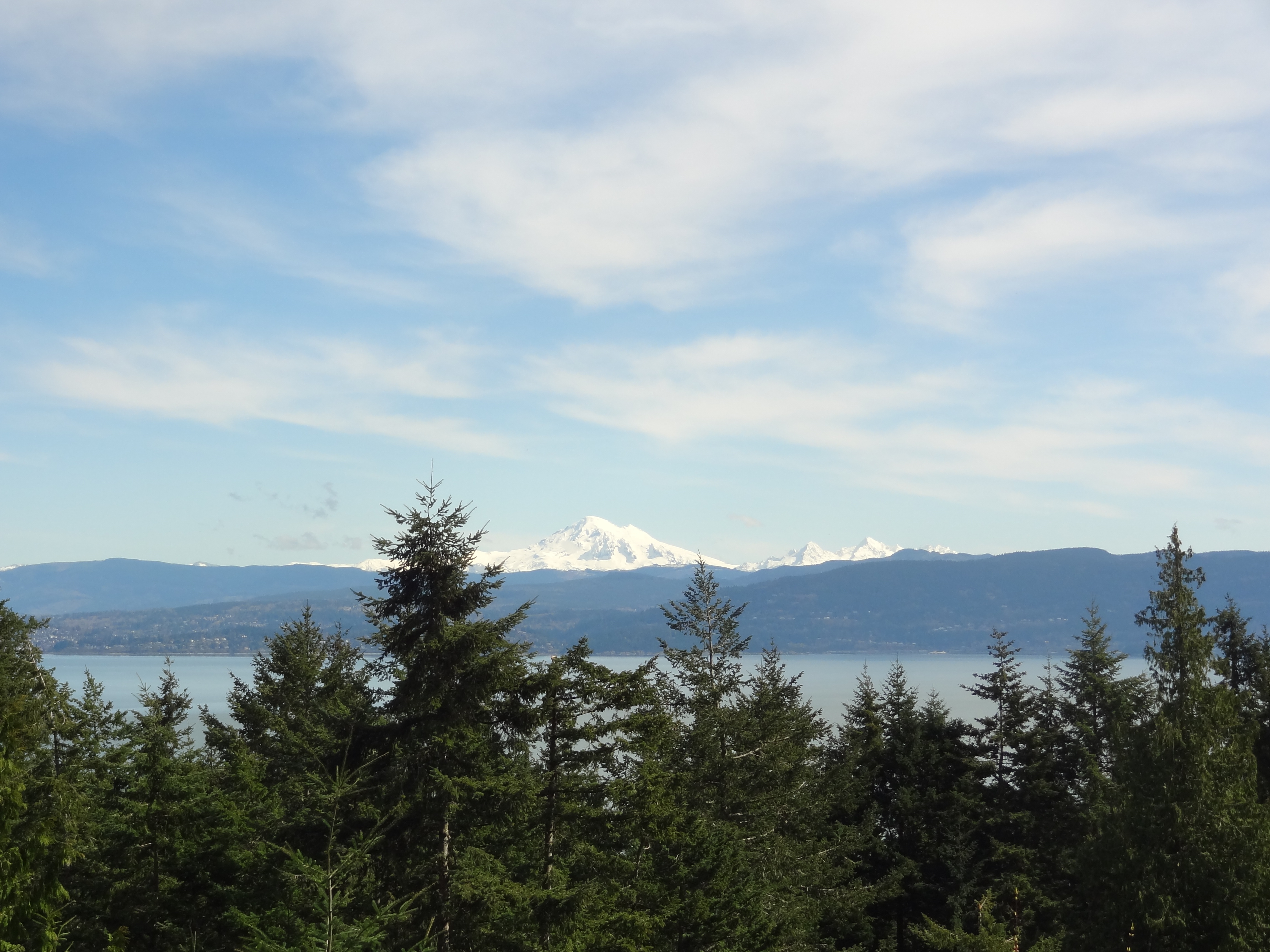 Property Photo:  1116 Island Dr  WA 98262 