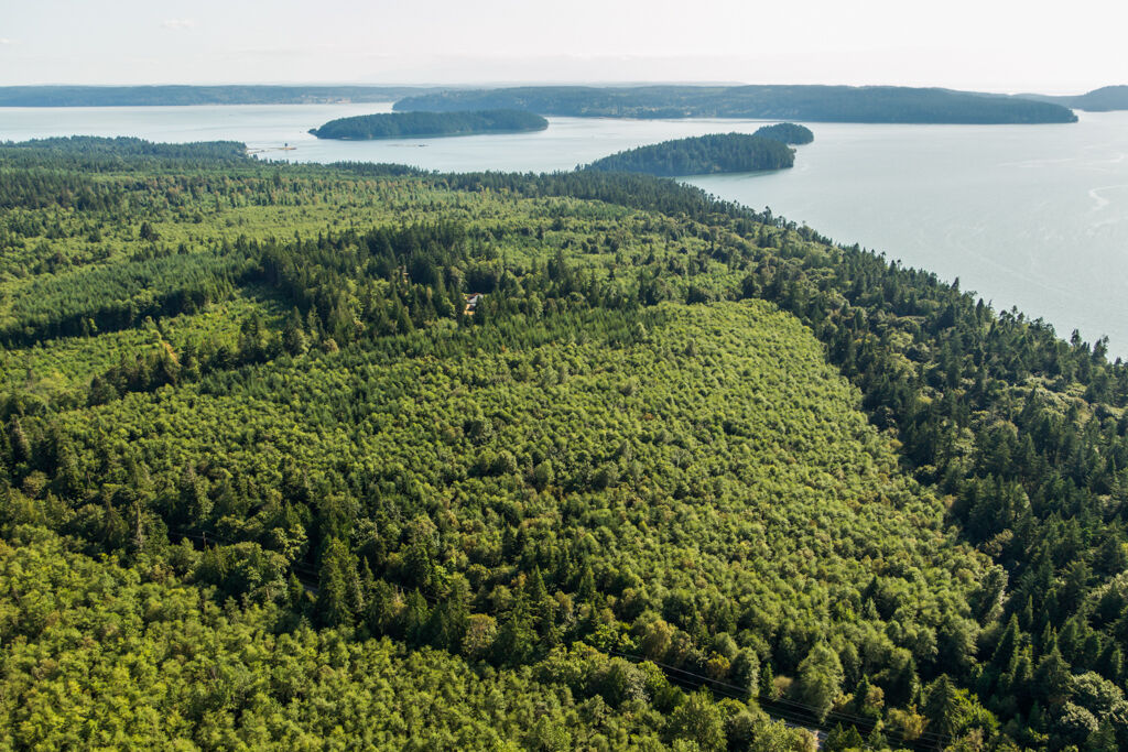 Property Photo: 0 Snee Oosh Road Xxxxx Snee Oosh Rd  WA 98257 