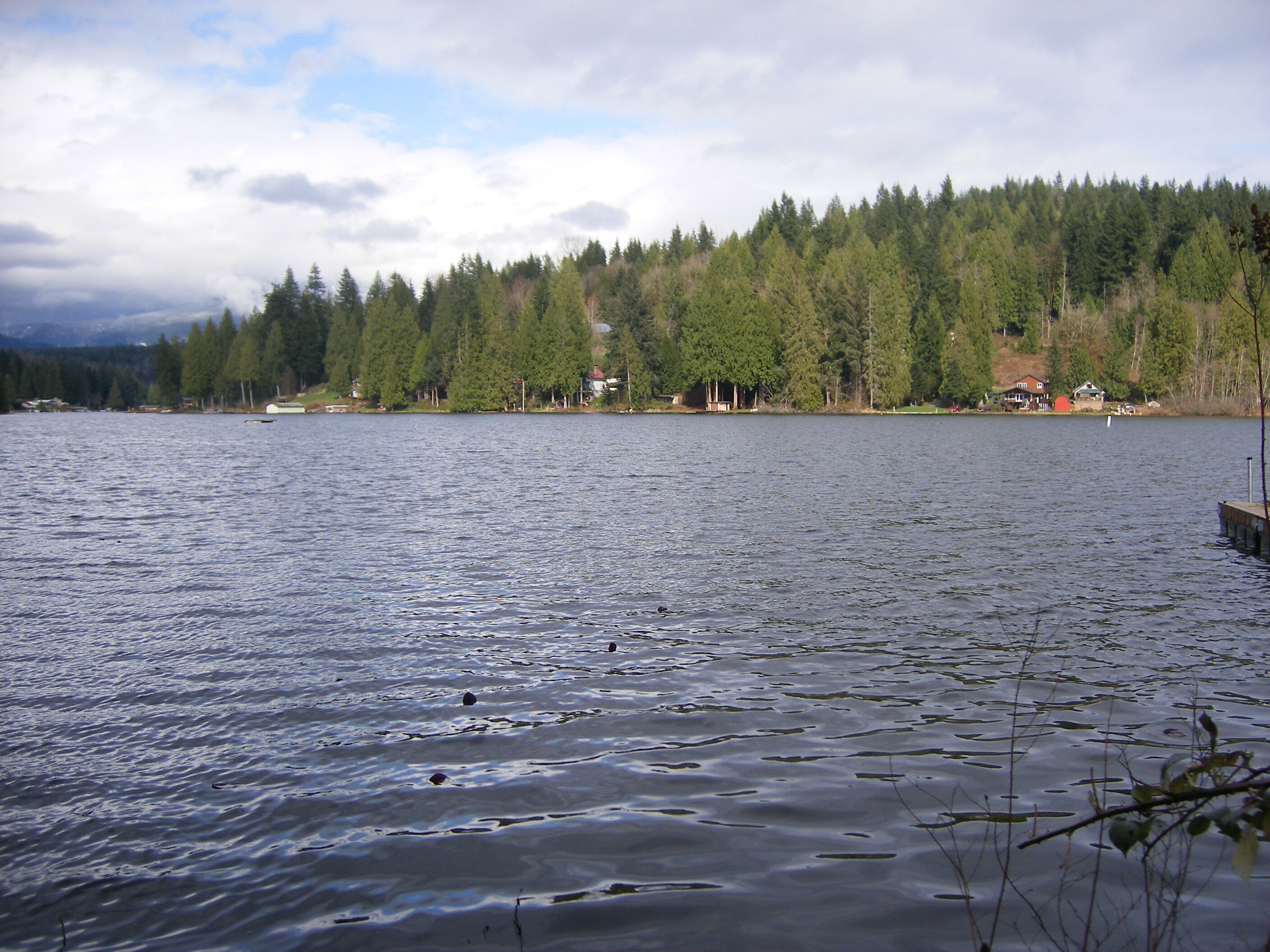 Property Photo:  1415 SW Lake Roesiger Rd  WA 98290 