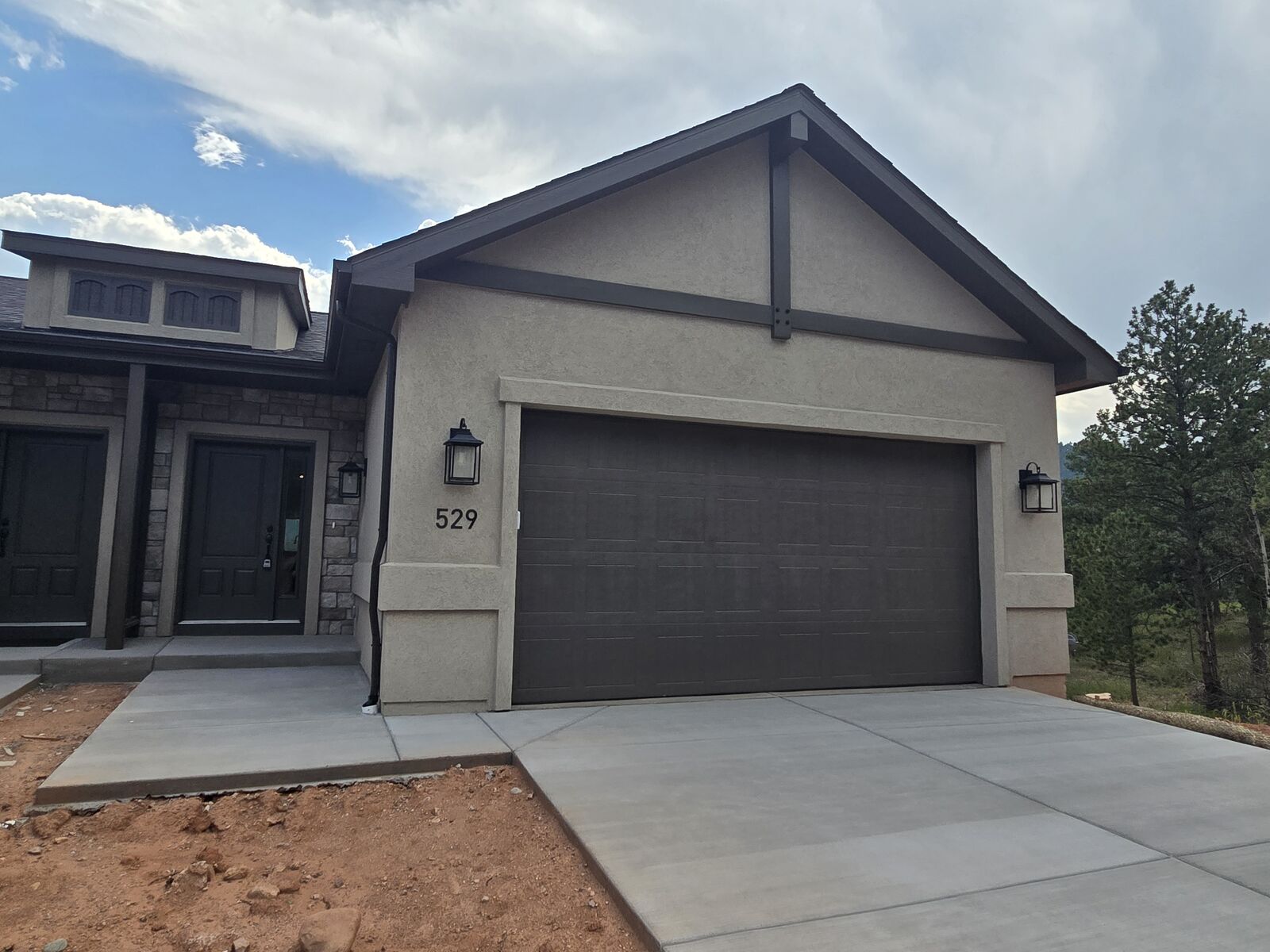 Property Photo:  529 Brecken Ct  CO 80863 