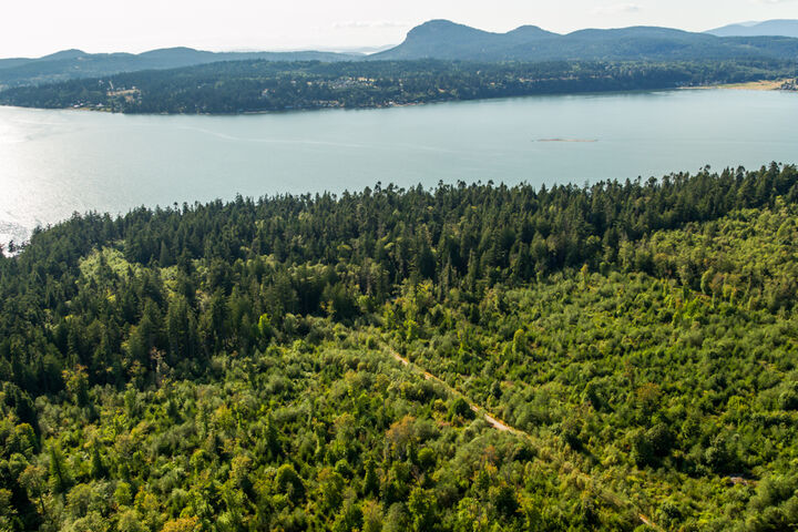 Property Photo: 0 Snee Oosh Road Xxxxx Snee Oosh Rd  WA 98257 