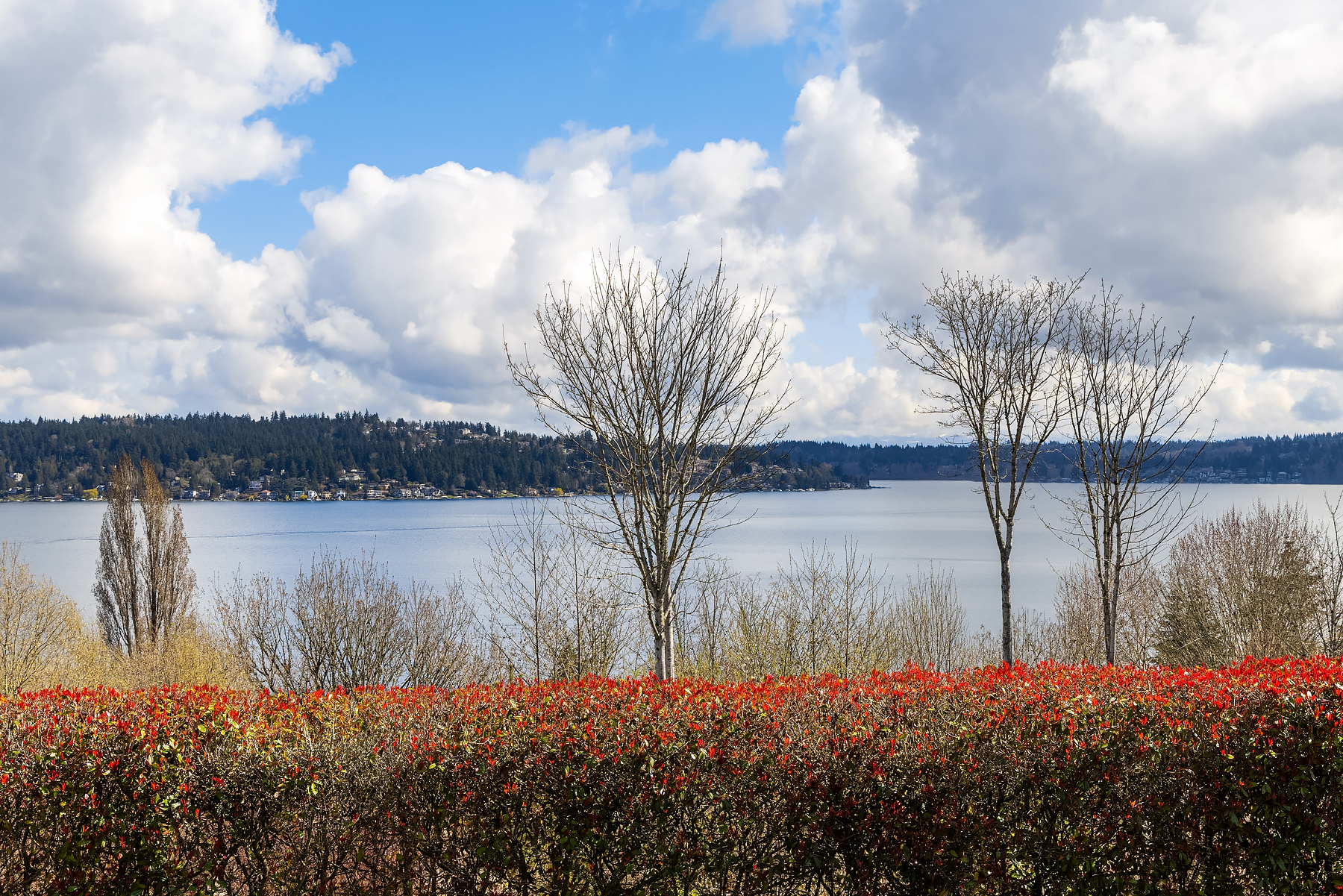 Property Photo:  8005 Sand Point Way NE A22  WA 98115 