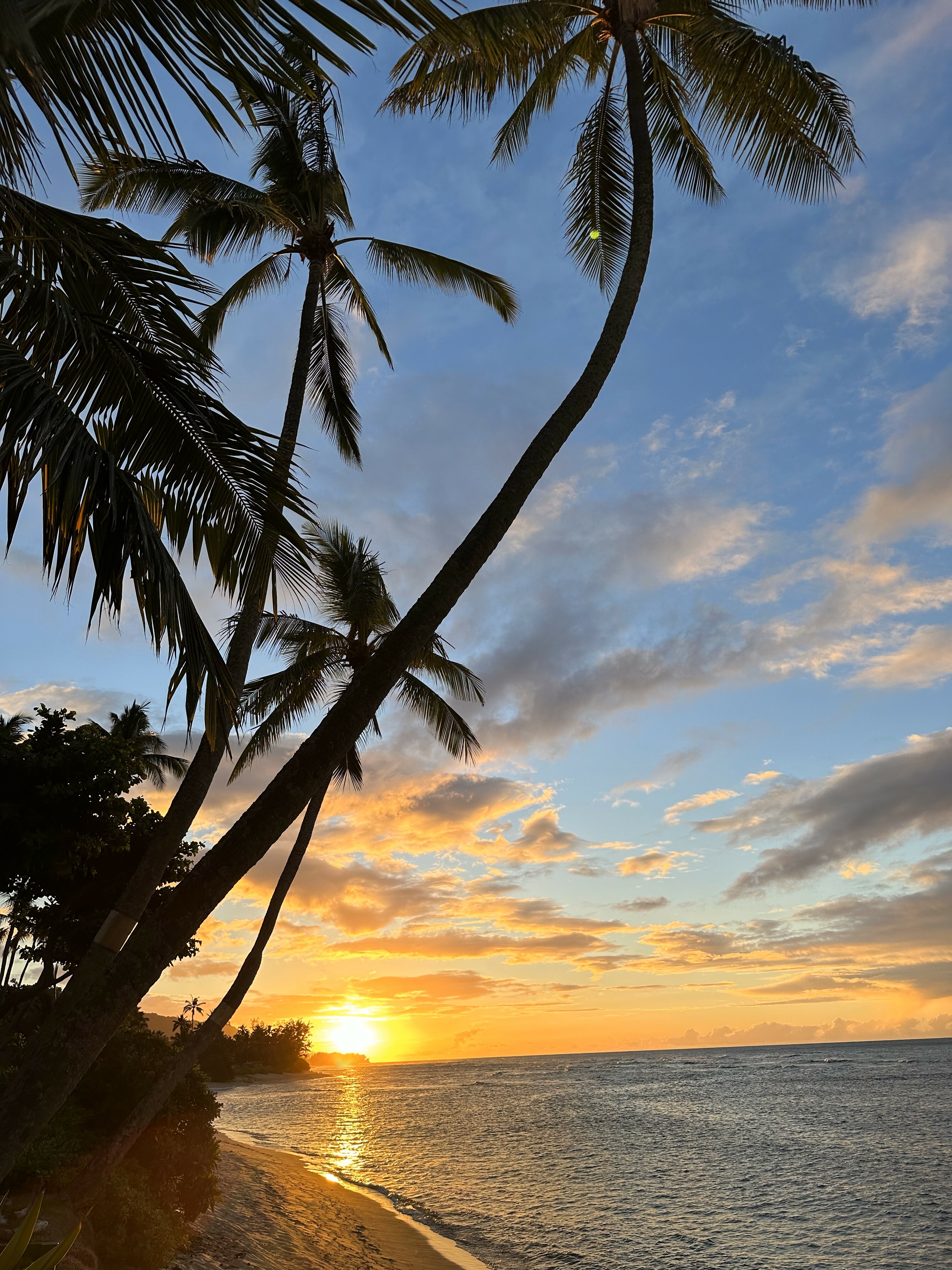 68-475 Crozier Drive  Waialua HI 96791 photo
