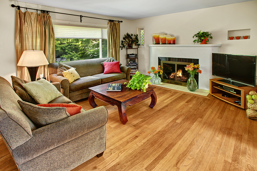 Property Photo: Living room 4501 12th Ave S  WA 98108 