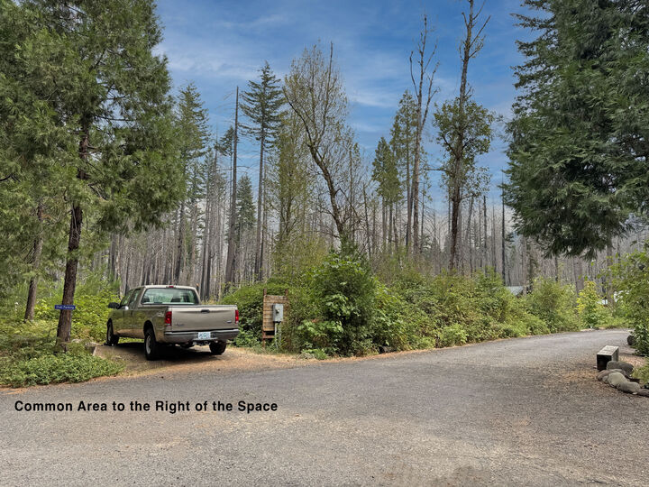 Property Photo: 54432 McKenzie Hwy 17 OR 97413