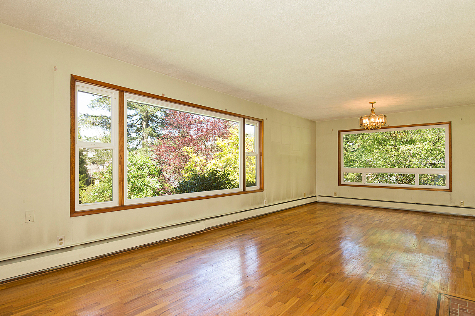 Property Photo: Living Room 4225 NE 88th St  WA 98115 